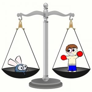 Poids mouches est l'une des expressions avec mouche du site savour.eu