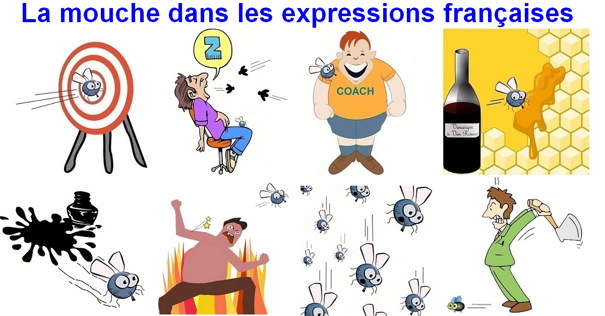 Faire Mouche Expression