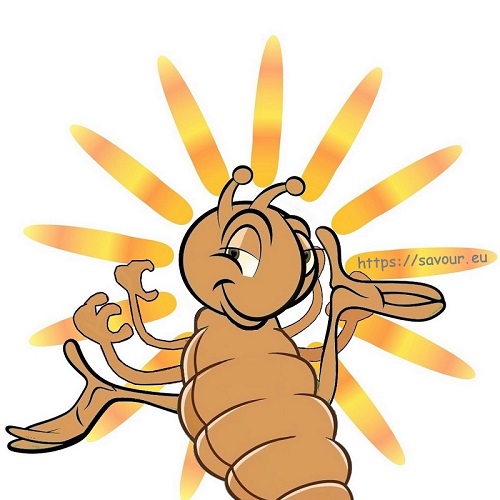 Fier Comme Un Pou Expression Avec Insecte Savour eu Fier Comme Un Pou Expression Avec Insecte Savour eu