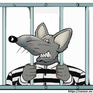 Être fait comme un rat Expression animalière savour.eu