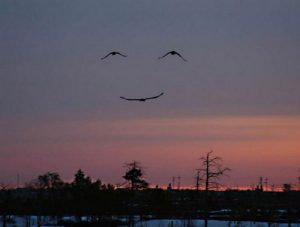 paréiodolie visage dans ciel